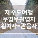 (주)영락원 | 우영우 황지사 절 촬영지 제주도 한라산 관음사