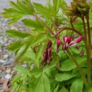 마당바위민박 이미지