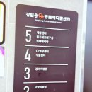 울산강일웅고양이메디컬센터