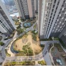 아일랜드 공인중개사사무소 이미지