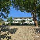 하방소 포레스트 이미지