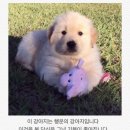 없   음 이미지