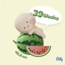 푸르넷주쌤교실 | 39주차 막달 임산부 일상 배크기 올포유맘 임산부교실 방문후기
