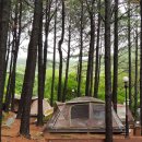 제암산자연휴양림 더늠길 이미지