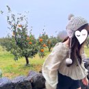 미깡밭스테이삼삼은구 이미지