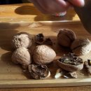 찻집 모퉁이 이미지