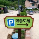 메죵도레