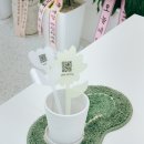 오그네일