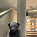 오션스테이 D | [제주] "신라스테이 플러스 이호테우" 디럭스 더블 가든뷰 내돈내산 후기(공항근처 비교적 신상호텔)