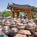 순창10경 | 🚶‍♂️ 순창 채계산 출렁다리 명소, 270m 허공 산책