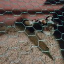 우리축사 이미지