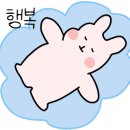 고메팔레스 이미지