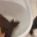 아영원 이미지
