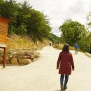 황토향기 이미지