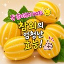 👍우리가 몰랐던 참외의 놀라운 효능👍 이미지