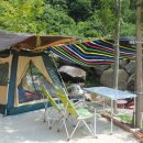 매화골향기 이미지