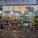 구로애조원 티스토리