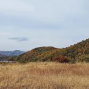 갑천주유소 이미지