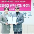 세종엔주식회사 이미지
