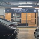 1317 | 일산 현대백화점 8층 현지인 셰프 맛집 타이리셔스
