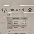 웰리스 동물병원 이미지