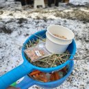 반해버린농장 | 용인딸기체험농장 아기랑 가기좋은 헤븐온어스