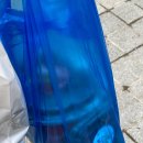 여주-0311 | 2024 0311_0317 사진 많이 넣었다