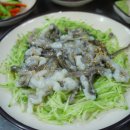 (주)트레이지 이미지