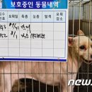 (주)펫톡 뉴스1