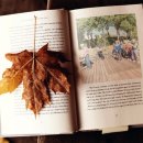 스마트폰 교육 이미지