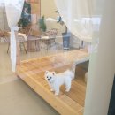 쏘이367 이미지