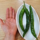 맛나감자탕 다대점 | 부산 다대포 맛집 [맛나감자탕 다대점] 놀이방 있는 식당/외식 장소 추천