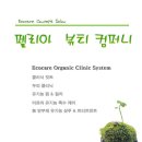펠리아뷰티컴퍼니