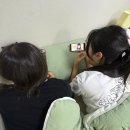 광성자전거 | 4개월 동안 또 뭐했냐믄