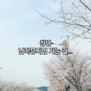 남마뮤지엄 이미지