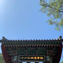 호랑스테이 | • 낙산사 템플스테이 🪷