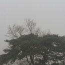 새벽아침농장 이미지