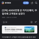 알리에 - 강서구 | 알리에