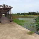 남생이못 이미지