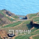 초록마을강원