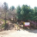 천주산 만남의 광장 이미지