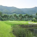 니어컨트리 이미지