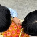 성현메디칼 이미지