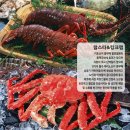 일오삼디자인 이미지