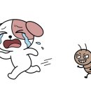 나-바