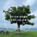 일죽 죽림리 삼층석탑 | 경기 안성 아이들과 당일치기 후기(2군데)