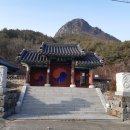 삼은당 티스토리