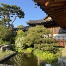 너른마당 이미지