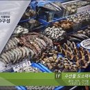 수산물센타 Daum카페