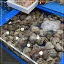 대천수산회센타 이미지